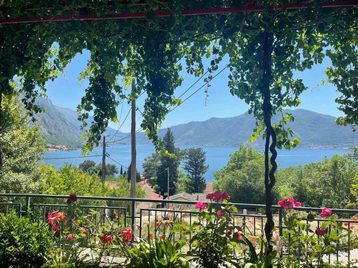 Vukotic Apartment Kotor