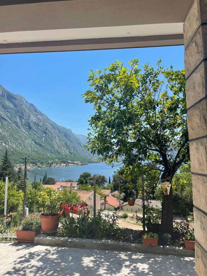 Vukotic Apartment Kotor