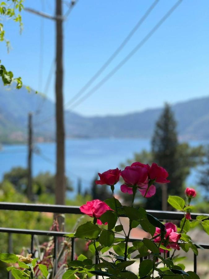 Apartment Vukotic Kotor