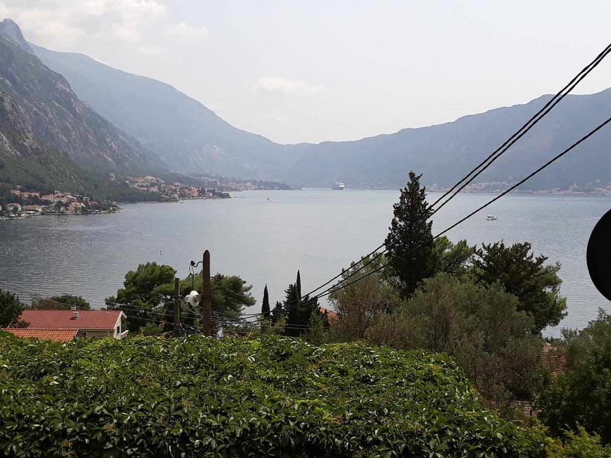 Apartment Vukotic Kotor