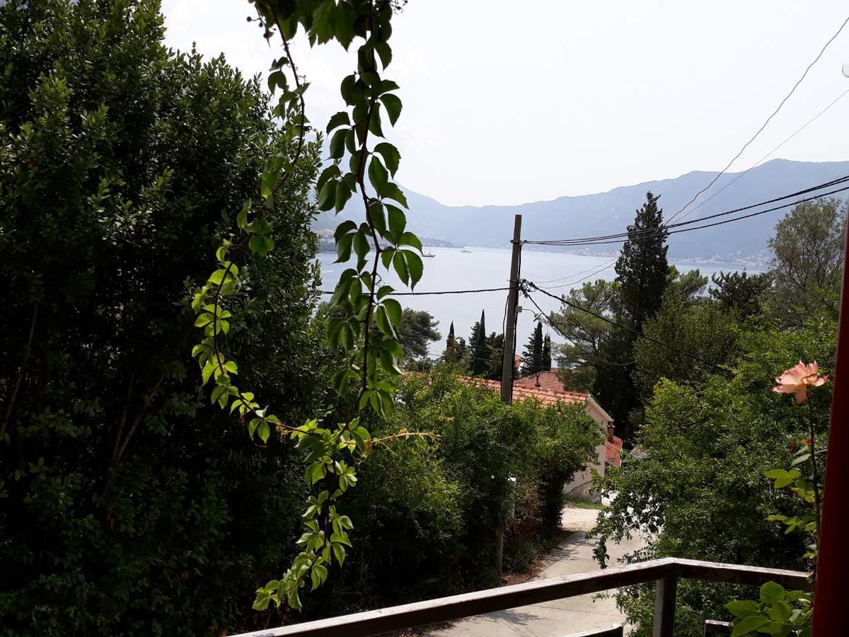 Vukotic *