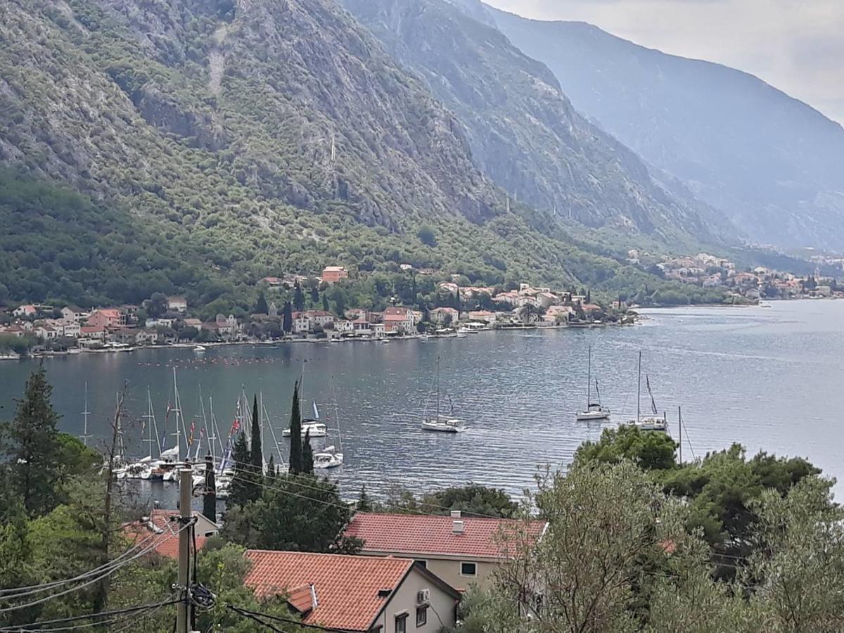 Apartment Vukotic Kotor